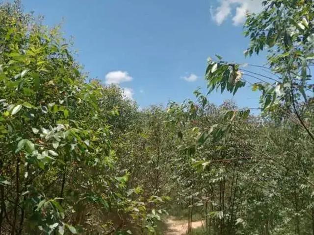 Sítio e chácara venda em Região Imediata de São José dos Campos, Região Metropolitana do Vale do Paraíba e Litoral Norte