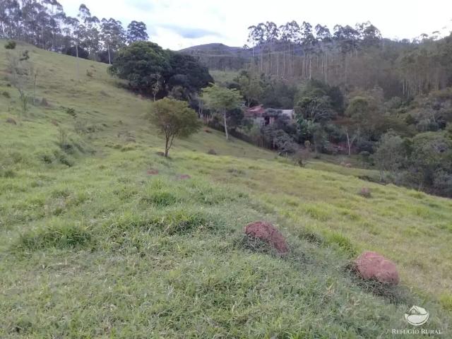 Sítio e chácara venda em Região Imediata de São José dos Campos, Região Metropolitana do Vale do Paraíba e Litoral Norte