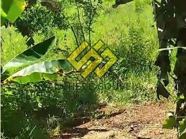 Sítio e chácara venda em Região Imediata de São José dos Campos, Região Metropolitana do Vale do Paraíba e Litoral Norte