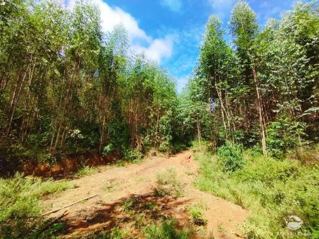 Sítio e chácara venda em Região Geográfica Imediata de Caruaru, Gravata