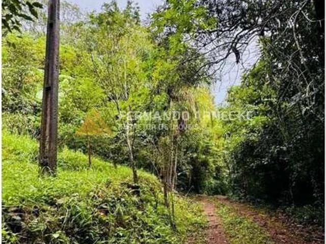 Sítio e chácara venda em Região Geográfica Imediata de Taquara - Parobé - Igrejinha, Região Metropolitana de Porto Alegre