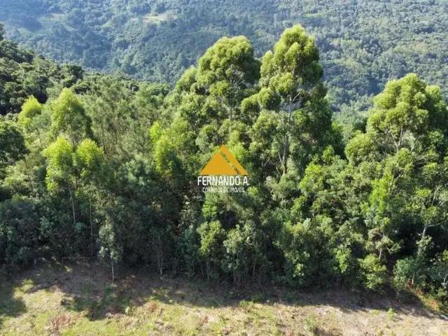 Sítio e chácara venda em Região Geográfica Imediata de Taquara - Parobé - Igrejinha, Região Metropolitana de Porto Alegre