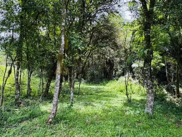 Sítio e chácara venda em Região Geográfica Imediata de Taquara - Parobé - Igrejinha, Região Metropolitana de Porto Alegre