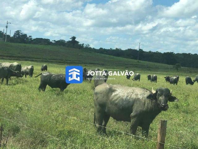 Sítio e chácara venda em Iguape