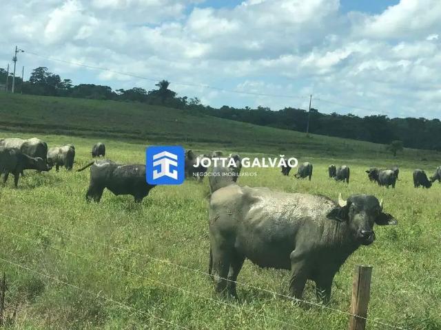 Sítio e chácara venda em Região Imediata de Registro, Iguape