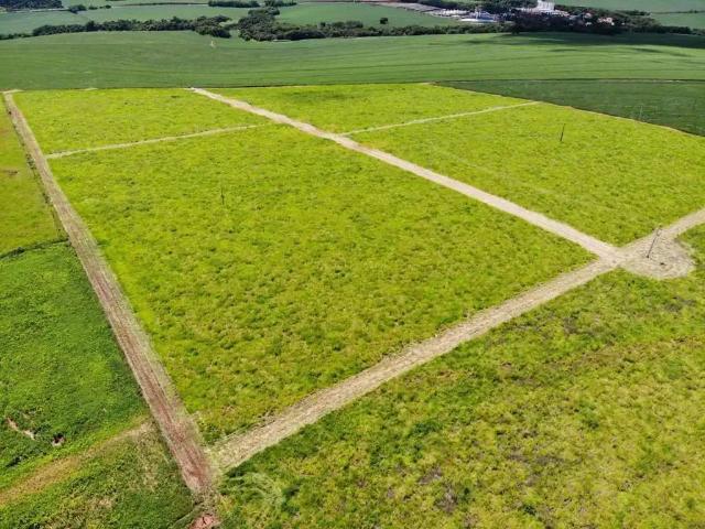Sítio e chácara venda em Região Geográfica Imediata de Maringá, Iguaraçu