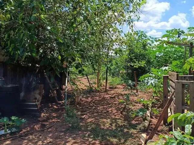 Sítio e chácara venda em Região Geográfica Imediata de Maringá, Iguaraçu