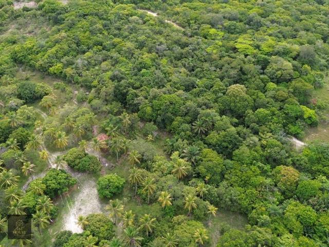Sítio e chácara venda em Ilha de Itamaracá, Região Geográfica Intermediária do Recife