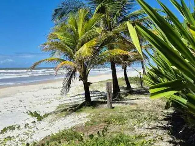 Sítio e chácara venda em Região Geográfica Imediata de Ilhéus – Itabuna, Ilhéus