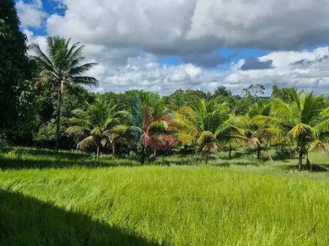 Sítio e chácara venda em Região Geográfica Imediata de Ilhéus – Itabuna, Ilhéus