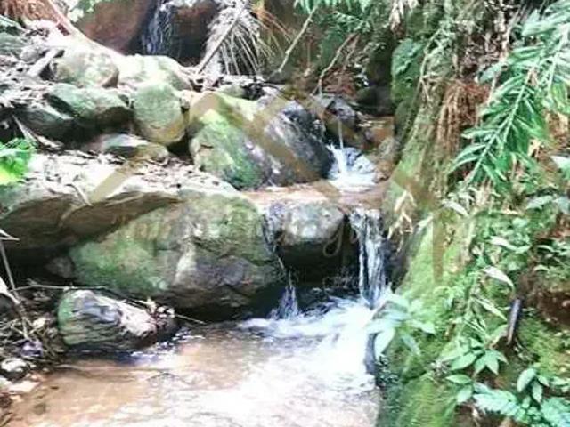 Sítio e chácara venda em Região Geográfica Imediata de Ceres - Rialma - Goianésia, Barro Alto