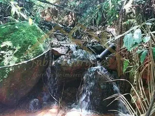 Sítio e chácara venda em Região Geográfica Imediata de Ceres - Rialma - Goianésia, Barro Alto