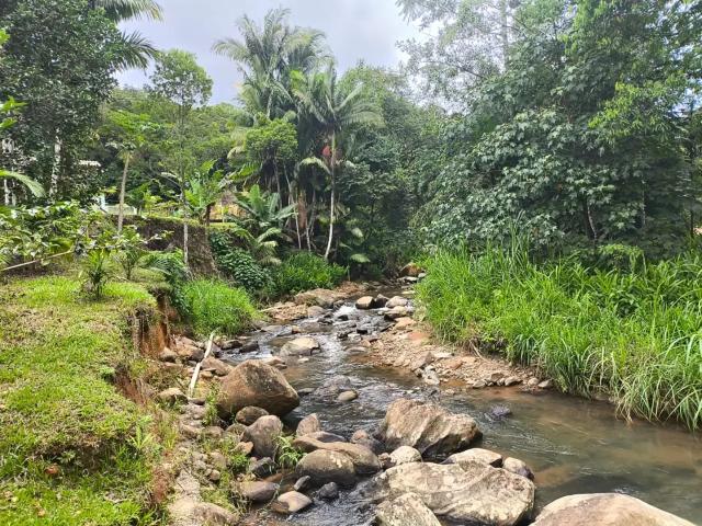 Sítio e chácara venda em Região Geográfica Imediata de Blumenau, Ilhota