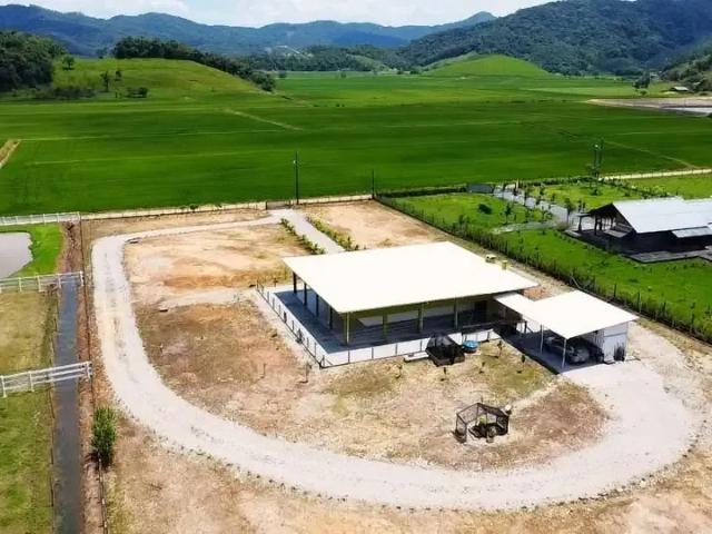 Sítio e chácara venda em Região Geográfica Imediata de Blumenau, Ilhota
