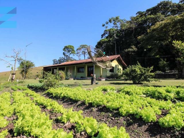 Sítio e chácara venda em Região Geográfica Imediata de Blumenau, Ilhota