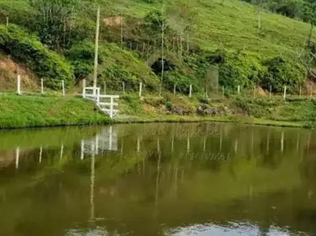 Sítio e chácara venda em Região Geográfica Imediata de Blumenau, Ilhota