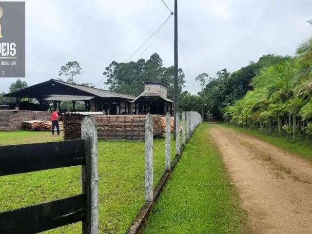 Sítio e chácara venda em Região Geográfica Imediata de Blumenau, Ilhota