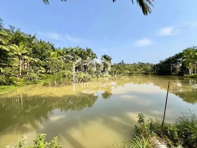 Sítio e chácara venda em Região Geográfica Imediata de Blumenau, Ilhota