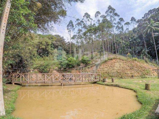 Sítio e chácara venda em Região Geográfica Imediata de Blumenau, Ilhota