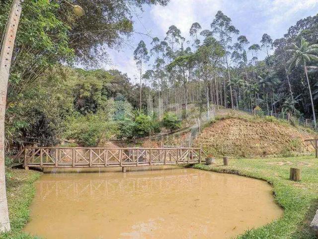 Sítio e chácara venda em Região Geográfica Imediata de Blumenau, Ilhota