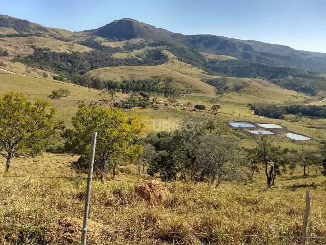 Sítio e chácara venda em Região Geográfica Imediata de Três Pontas - Boa Esperança, Ilicínea