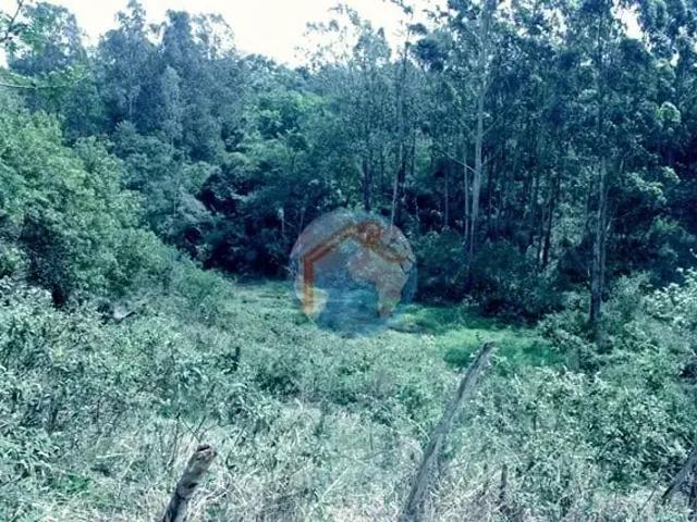 Sítio e chácara venda em Região Geográfica Imediata de Tubarão, Imaruí
