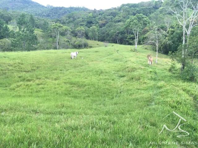 Sítio e chácara venda em Região Geográfica Imediata de Tubarão, Imaruí