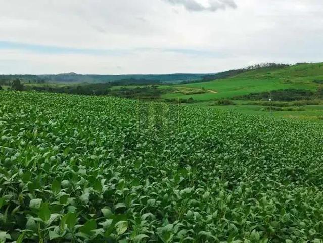 Sítio e chácara venda em Região Geográfica Imediata de Guarapuava, Inácio Martins