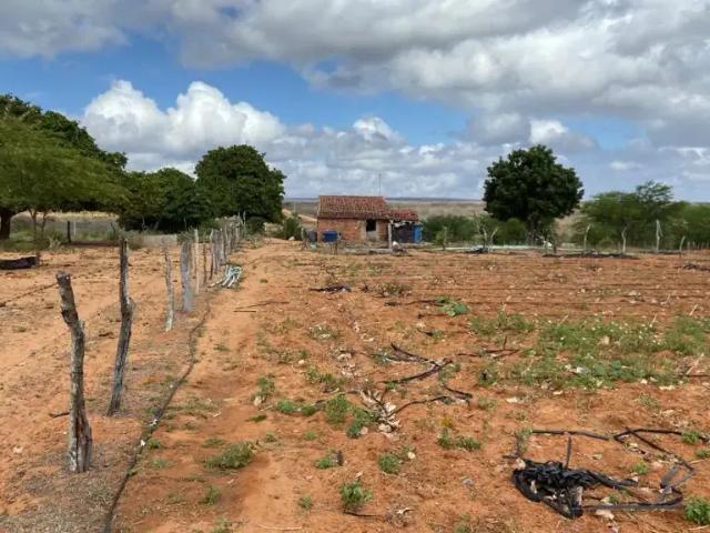 Sítio e chácara venda em Inajá, Região Nordeste