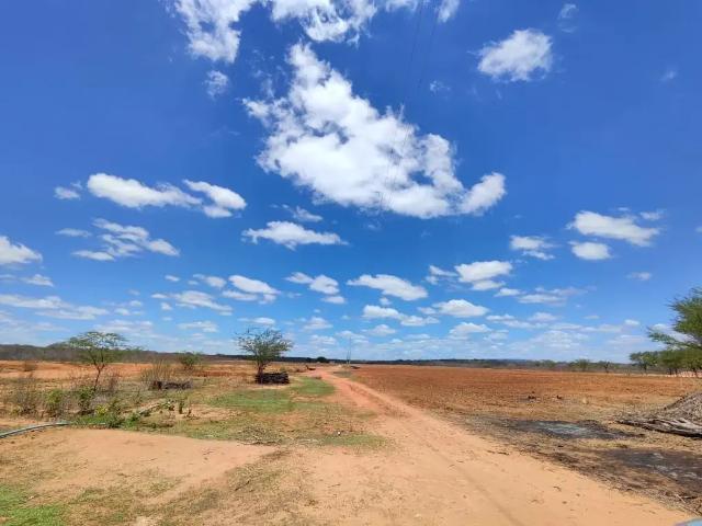 Sítio e chácara venda em Inajá, Região Nordeste