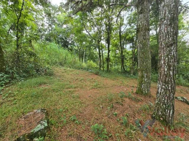 Sítio e chácara venda em Região Geográfica Imediata de Blumenau, Indaial