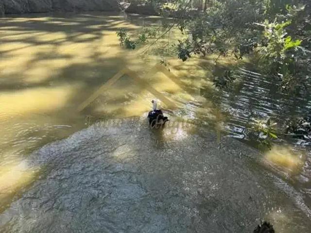 Sítio e chácara venda em Região Geográfica Imediata de Blumenau, Indaial