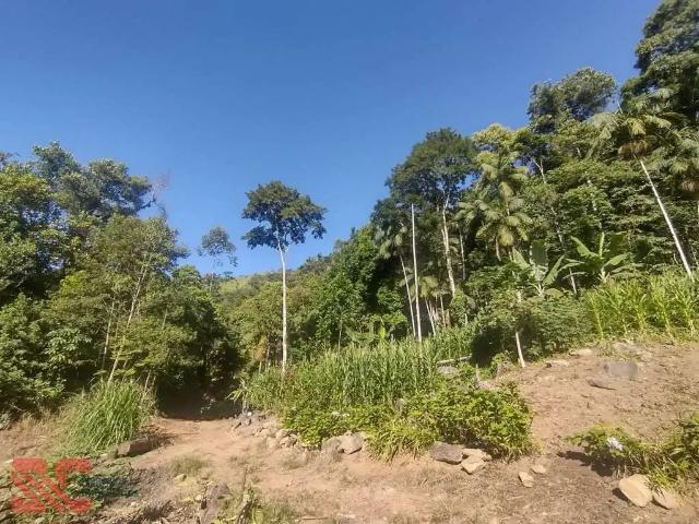 Sítio e chácara venda em Região Geográfica Imediata de Blumenau, Indaial