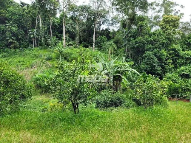 Sítio e chácara venda em Região Geográfica Imediata de Blumenau, Indaial