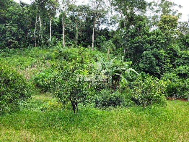 Sítio e chácara venda em Indaial, Região Geográfica Intermediária de Blumenau