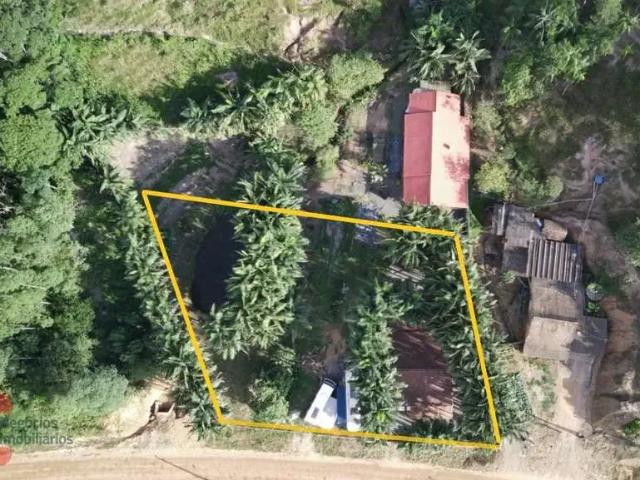 Sítio e chácara venda em Região Geográfica Imediata de Blumenau, Indaial