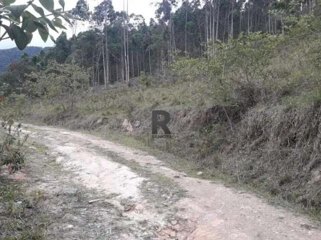 Sítio e chácara venda em Região Geográfica Imediata de Blumenau, Indaial