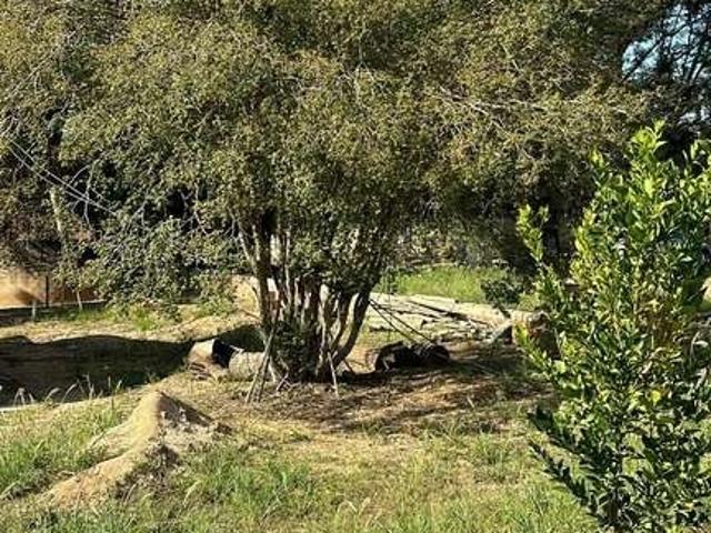 Sítio e chácara venda em Região Imediata de Campinas, Região Metropolitana de Campinas