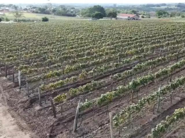 Sítio e chácara venda em Região Imediata de Campinas, Região Metropolitana de Campinas