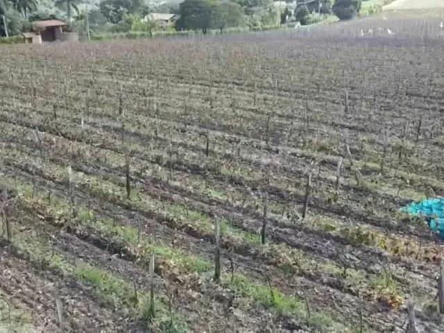 Sítio e chácara venda em Região Imediata de Campinas, Região Metropolitana de Campinas