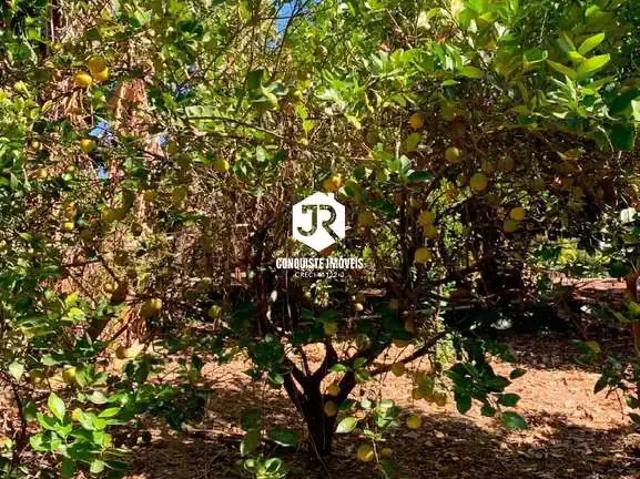 Sítio e chácara venda em Região Imediata de Campinas, Região Metropolitana de Campinas