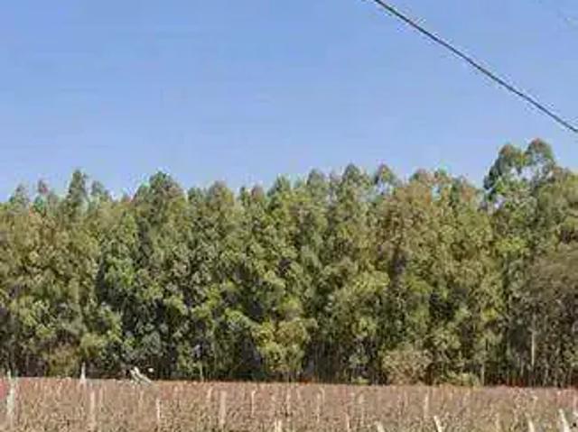 Sítio e chácara venda em Região Imediata de Campinas, Região Metropolitana de Campinas
