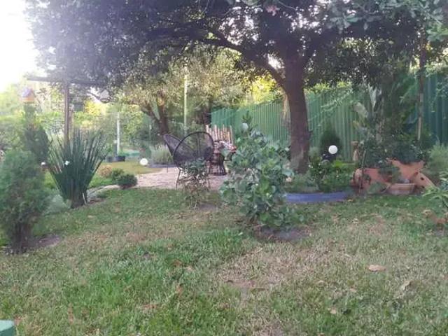 Sítio e chácara venda em Região Imediata de Campinas, Região Metropolitana de Campinas
