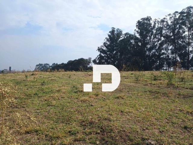 Sítio e chácara venda em Região Imediata de Campinas, Região Metropolitana de Campinas