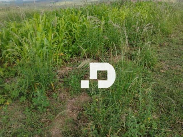 Sítio e chácara venda em Região Imediata de Campinas, Região Metropolitana de Campinas