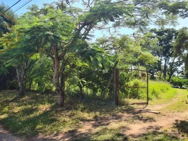 Sítio e chácara venda em Região Imediata de Campinas, Região Metropolitana de Campinas