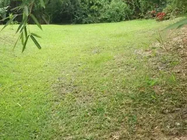 Sítio e chácara venda em Região Imediata de Campinas, Região Metropolitana de Campinas