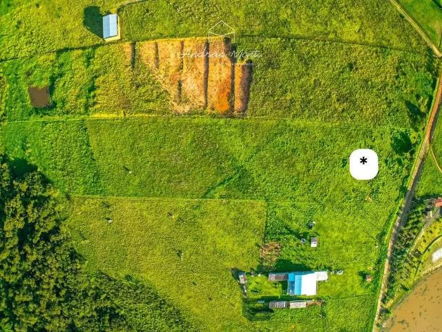 Sítio e chácara venda em Região Imediata de Campinas, Região Metropolitana de Campinas