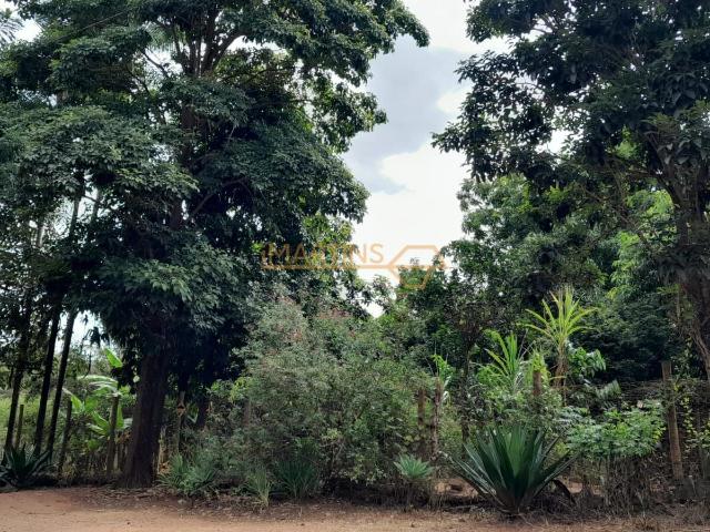 Sítio e chácara venda em Região Geográfica Imediata de Uberlândia, Indianópolis