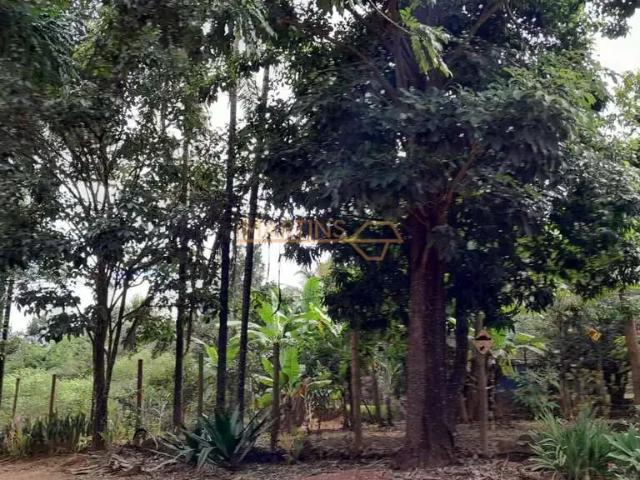 Sítio e chácara venda em Região Geográfica Imediata de Uberlândia, Indianópolis
